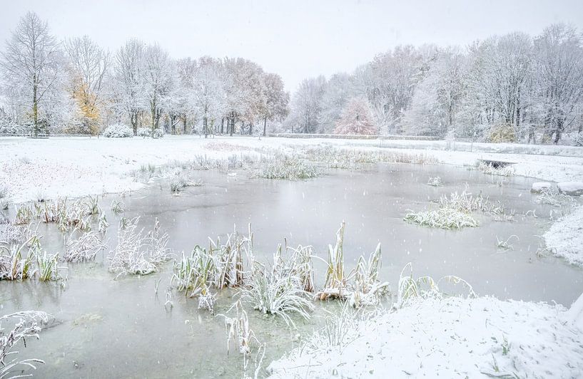 Winter mit Herbstfarben von Gonnie van de Schans