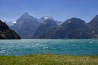 Urnersee Sommerblick, Schweiz