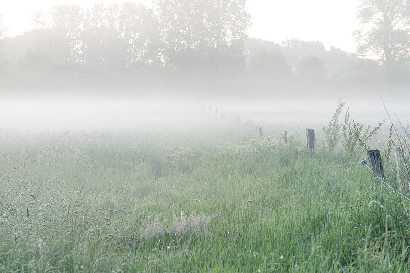ein schöner Morgen von Marcel Derweduwen