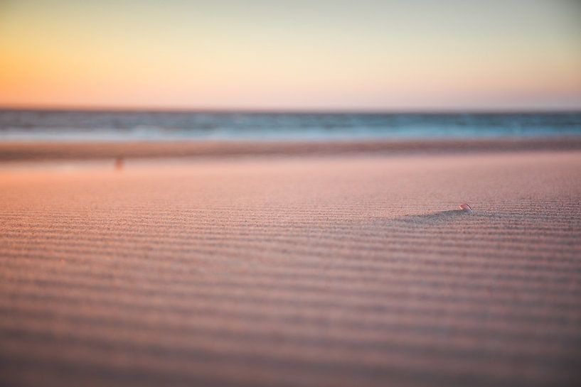 Oostkapelle beach by Andy Troy