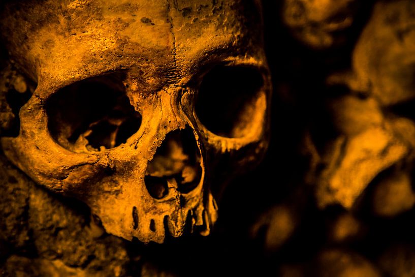 Skull of the Catacombs of Paris by Melvin Erné