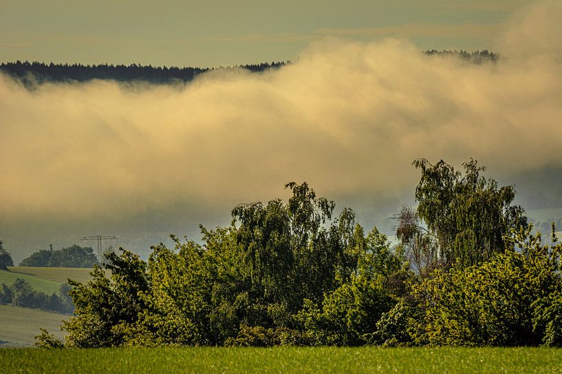 paysage fleurs / prairie fleurie nature par Johnny Flash