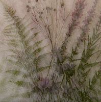 Collage mit Farn und Rohrkolben, Mehrfachbelichtung