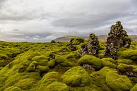 The moss-covered lava fields of Eldhraun in Iceland
