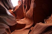 Lower Antelope Canyon View 5