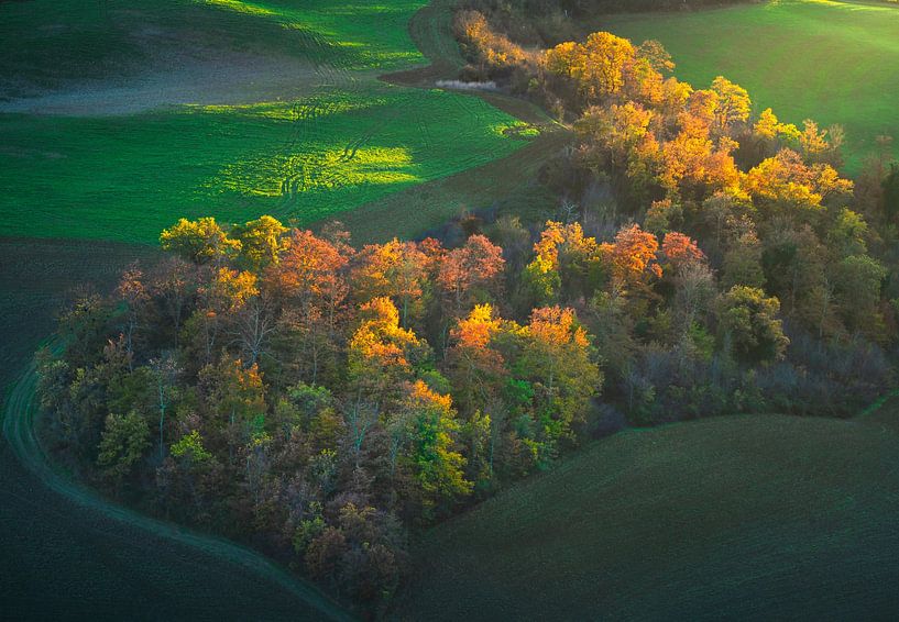 Autumn landscape. Colorful woods in Tuscany by Stefano Orazzini