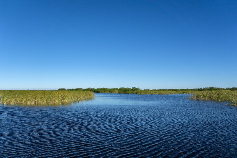 USA, Florida, Wasserlandschaft mit Sägegras und Mündungsgebiet der Everglades von adventure-photos
