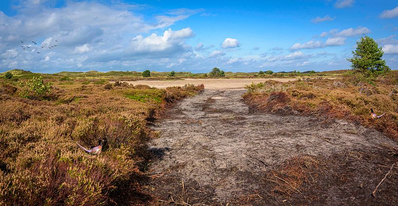Offene Stelle in der Dünenlandschaft, Texel von Rietje Bulthuis