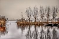 Dutch landscape Zoetermeer