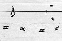 Never trust a stranger 