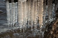 Icicles on the beach in hellevoetsluis