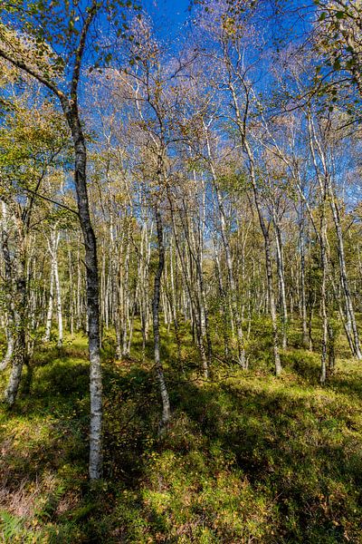 Unterwegs im Nationalpark Rhön von Oliver Hlavaty