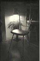 Schönheit ist überall