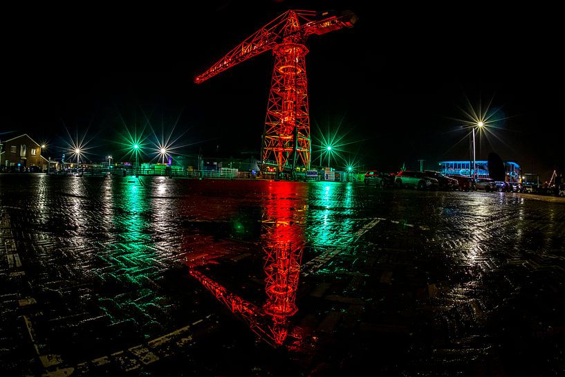 Kranich Spiegel von peterheinspictures