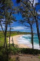 Donkey Beach - Hawaii