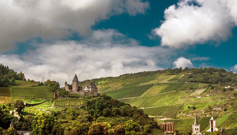 Bacharach van Harrie Muis