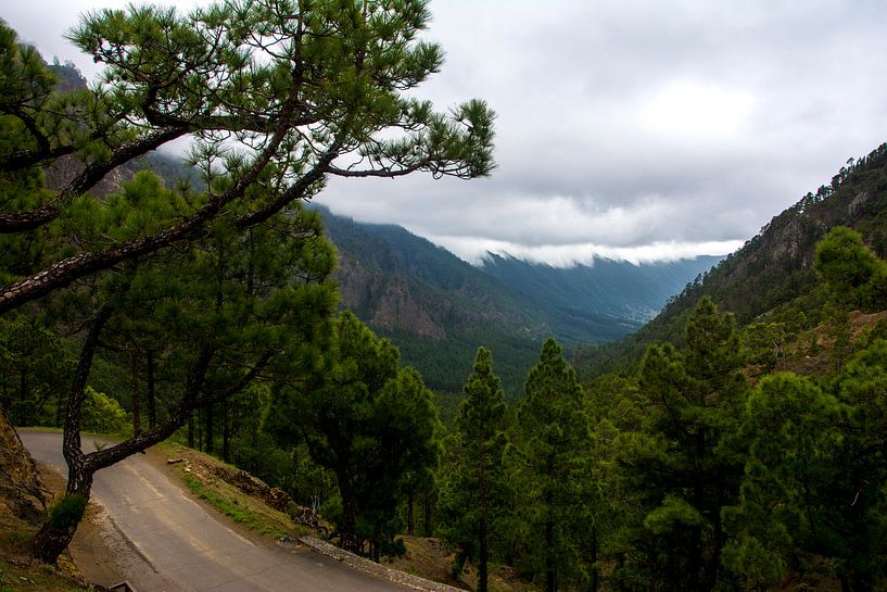 Nature photo of La Palma by Yara Verstappen