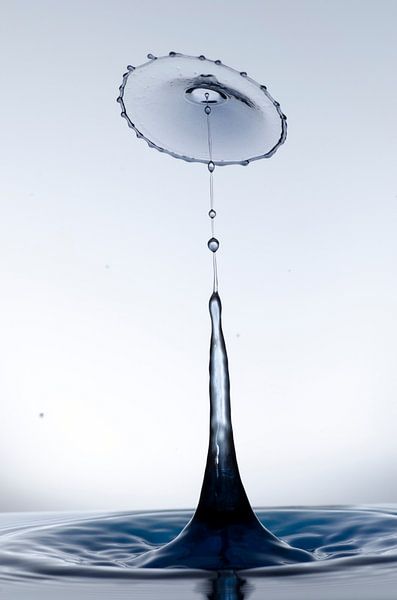 Black drop in an umbrella shape by Focco van Eek