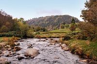 Beek in Glendalough National Park, Ierland