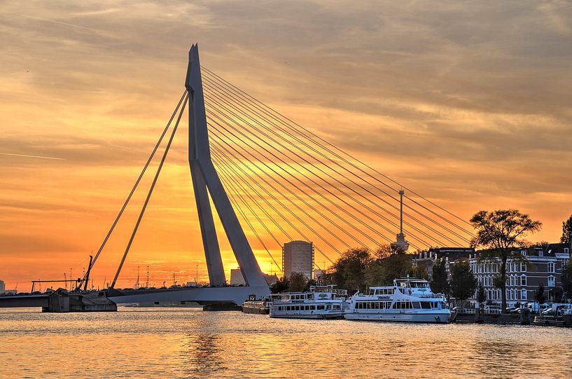 Erasmus-Brücke beim Sonnenuntergang von Frans Blok - Fotos, Kunst und weitere Wanddekoration