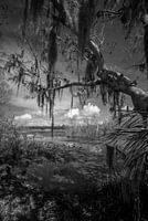 Leesburg in zwart wit