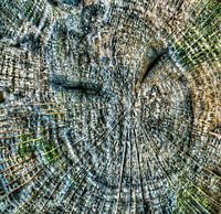 Tree Spirit - Forest Spirit