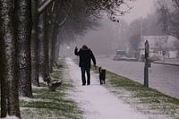 Winterwandeling met de hond