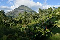 Blick auf den Vulkan Arenal in Costa Rica