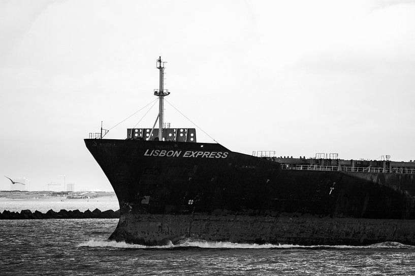 The ships on their way to open sea from Rotterdam. by scheepskijkerhavenfotografie