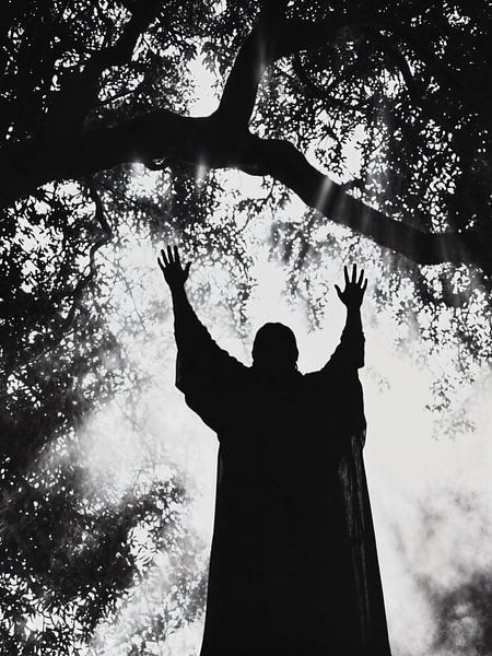 Figure en adoration sous un arbre ensoleillé par Transmutation Art