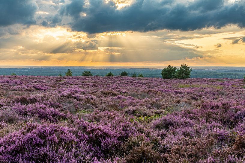Der Sprengenberg von Göran Dekker
