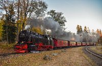 HSB 99 7237 Drei Annen Hohne