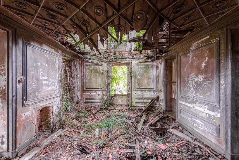 Lost Place - verlassene Räume - wenn die Natur Einzug hält von Gentleman of Decay