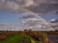 Regenboog in de Biesbos