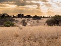 Die Sonne scheint durch die Wolken auf die Landschaft in Antilopenpark Simbabwe