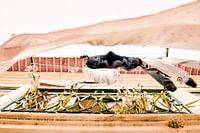 Die Urban Collection | Aveiro