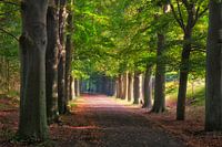 Koninklijke Landgoederen de Horsten