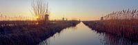 Sonnenaufgangs-Panorama der Windmühlen von Kinderdijk