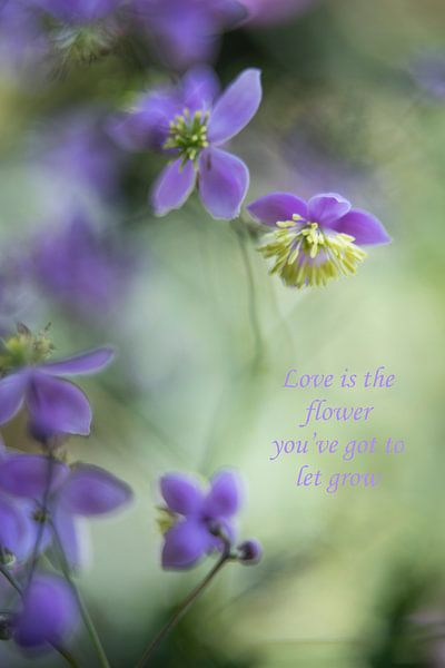 Frei  von Christl Deckx