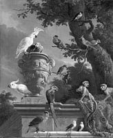 De menagerie in zwart wit , Melchior d'Hondecoeter