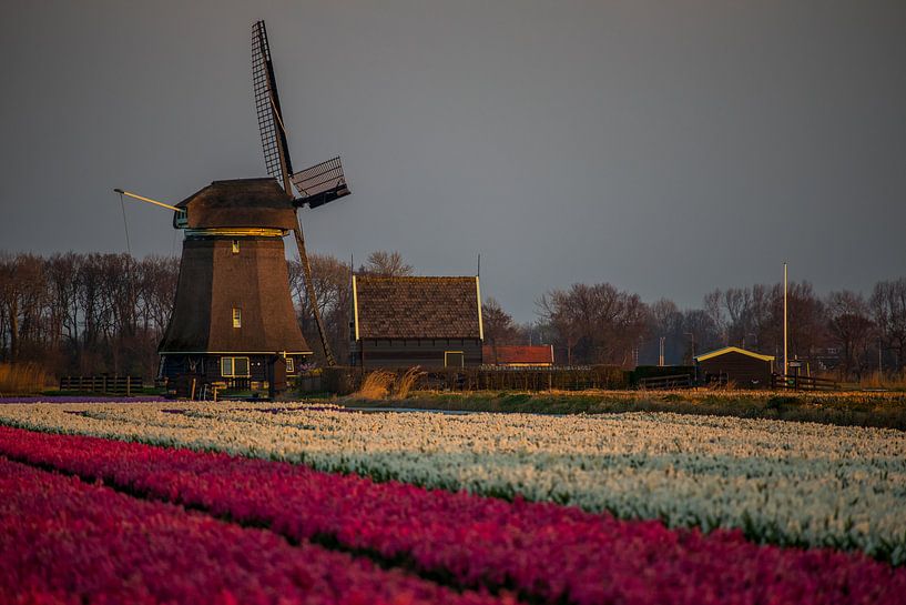 Zonsopgang bij Molen O-T von peterheinspictures