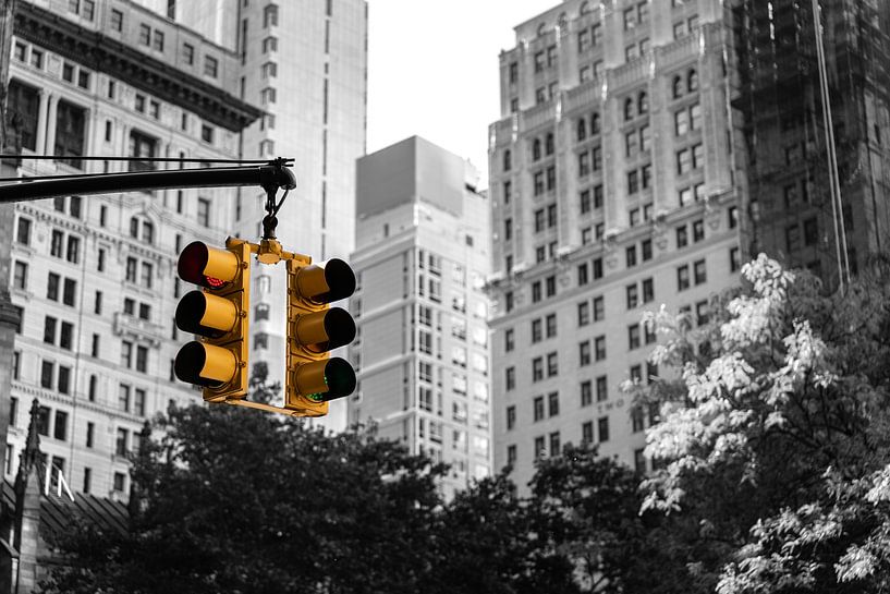 Ampel in New York von Bart cocquart