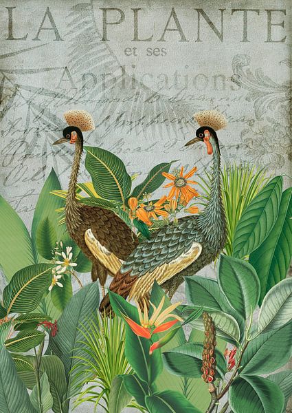 Cranes Nostalgic Journey von Andrea Haase