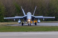 Frontal force - Finnish F/A-18C Hornet at Leeuwarden