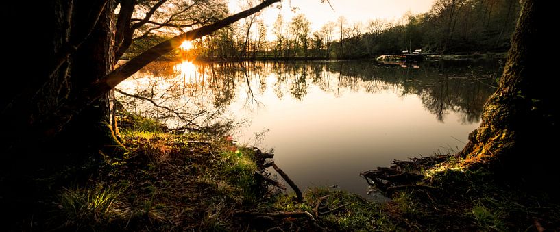 Heidekrautblütensee Ede von Jeroen Mondria