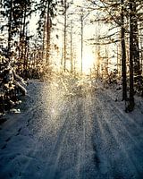 Les rafales de neige