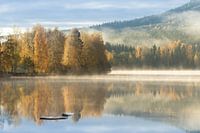 Herbstfarben an einem schwedischen See