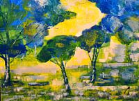 Pine trees in the south of France