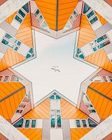 Direkt in der Vogelperspektive