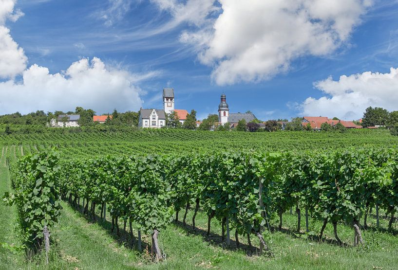 Weinort Zell im Zellertal,Donnersbergkreis von Peter Eckert